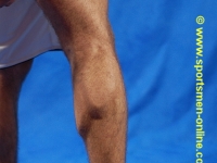 Panos6.jpg